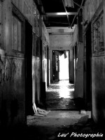 /album/galerie-photos/p1080665-jpg/