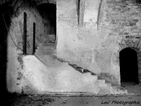 /album/galerie-photos/p1110634-jpg/