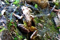 /album/galerie-photos/p1090792-jpg/