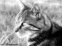 /album/galerie-photos/p1100084-jpg/