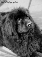 /album/galerie-photos/p1110276-jpg/