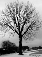 /album/galerie-photos/p1110330-jpg/