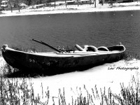 /album/galerie-photos/p1110334-jpg/